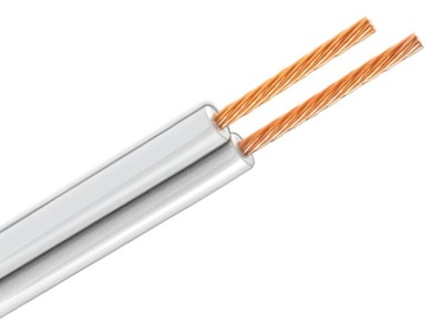CCN530004